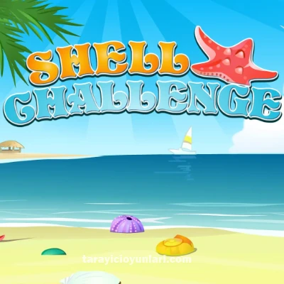Shell Challenge