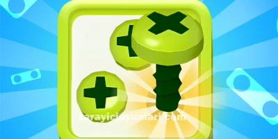 ücretsiz Screw Sort Puzzle Pin Jam 3D oyna
