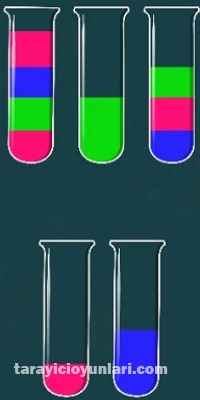 ücretsiz Water Sorting Color in the bottle oyna