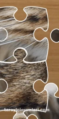 ücretsiz Jigsaw Puzzle Classic oyna