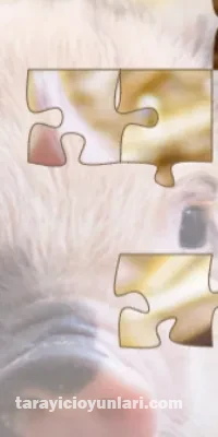 ücretsiz Jigsaw Puzzle Deluxe oyna